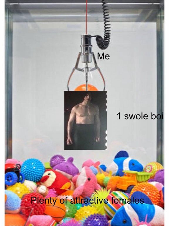 S W O L E B O I
