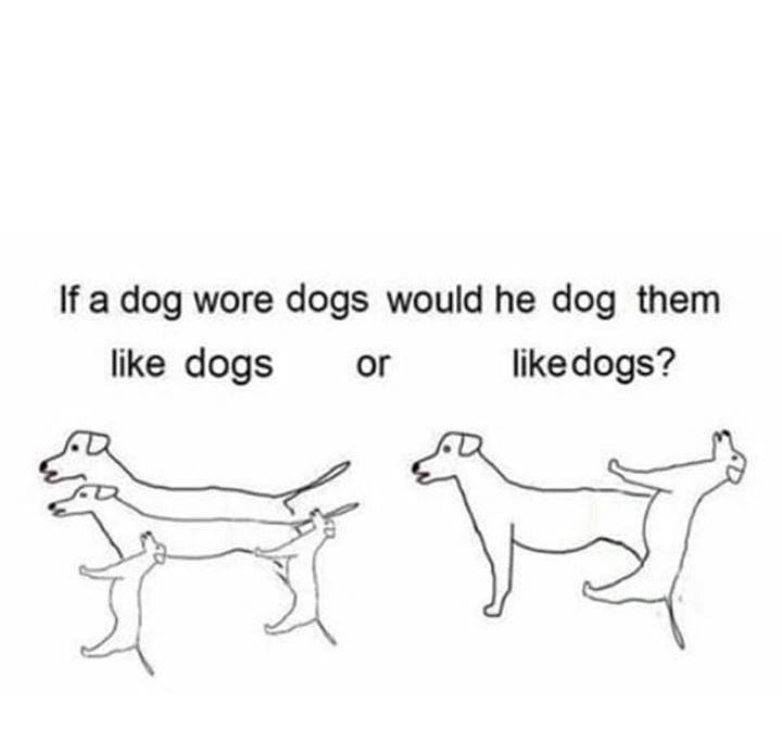 DOGG