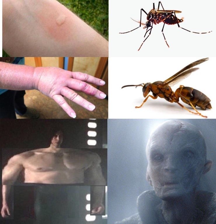 SWOLE