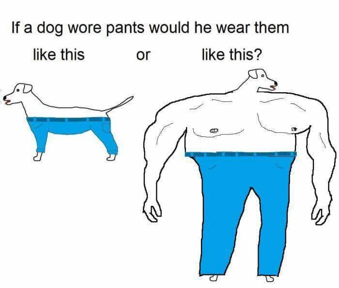 pants