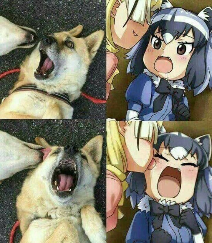 I like the right one