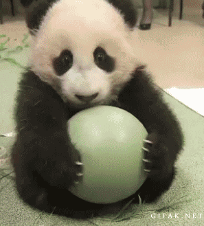 It's my ball... mine.