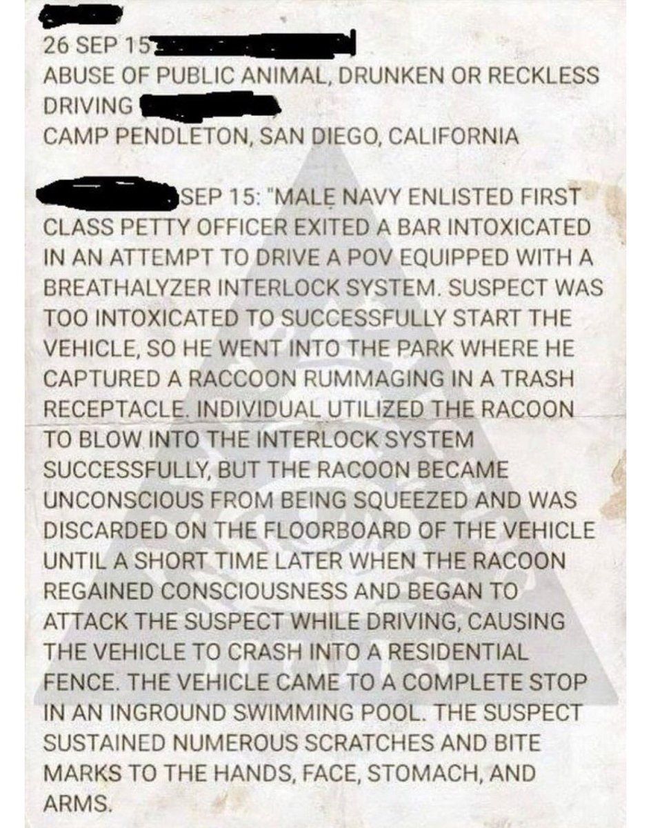 This may be the best police report ever written.