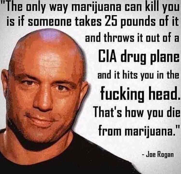 Only way marijuana kill you
