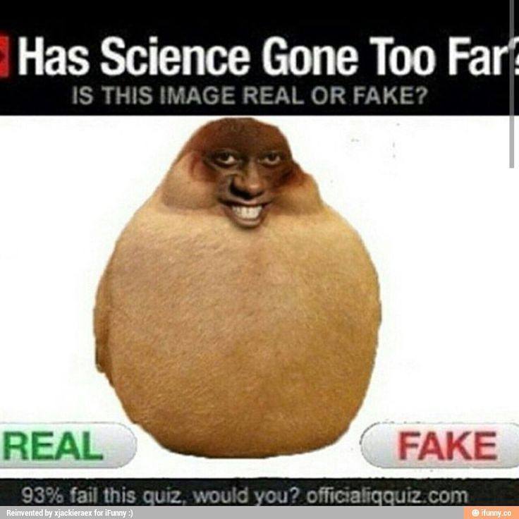 Real