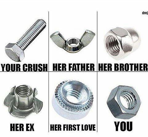 Nut