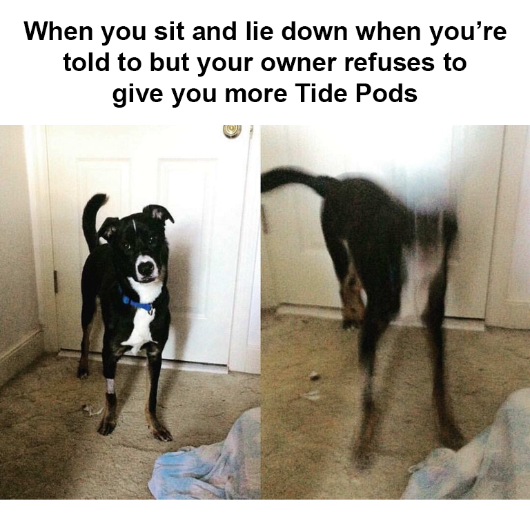 he deserves some