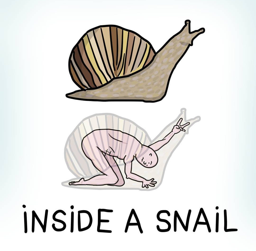 Inside a snail.