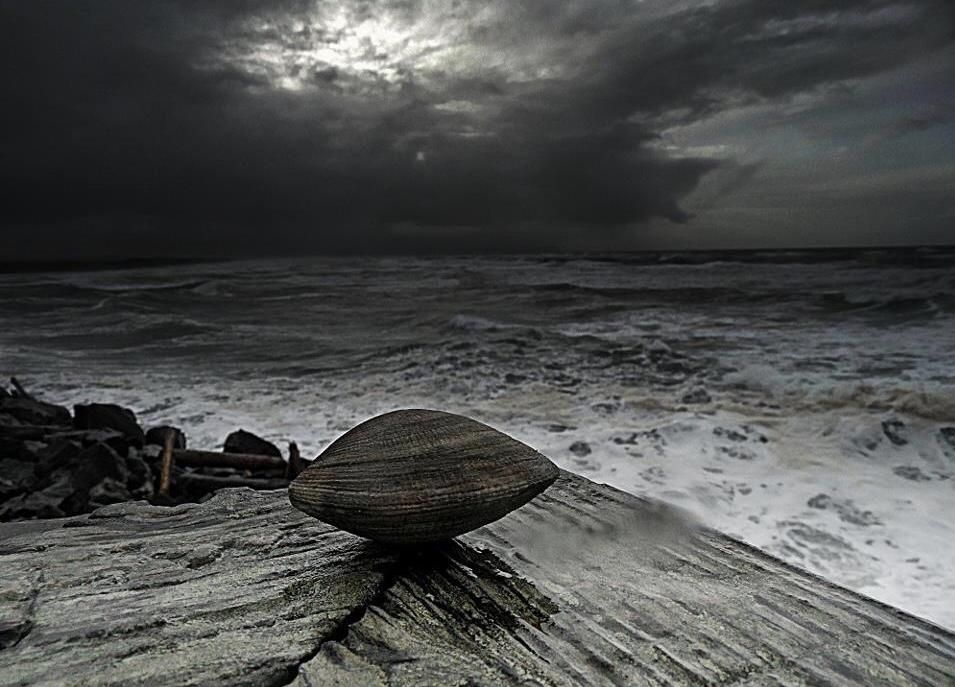 The Clam Before The Storm