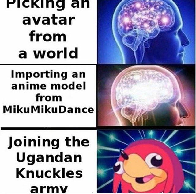 More memes