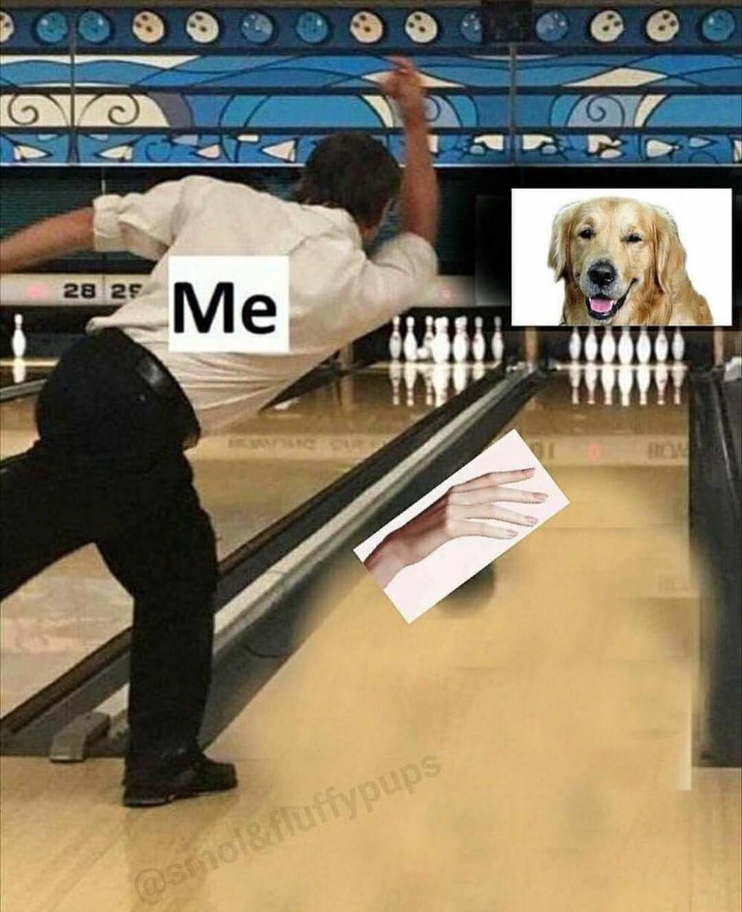 More memes