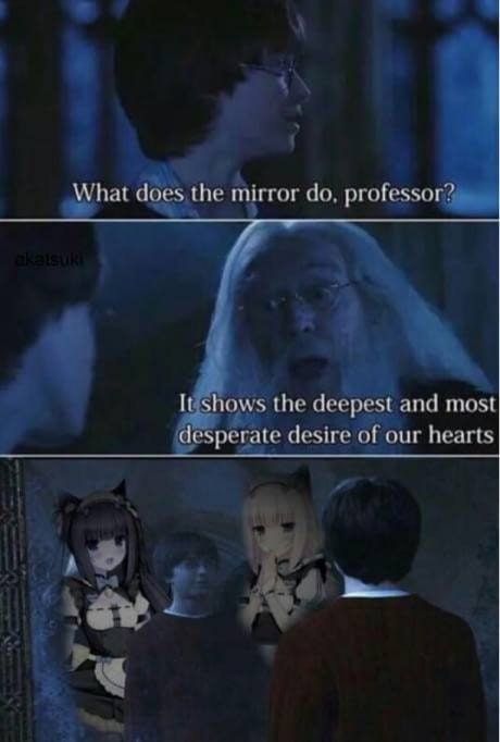 hope they are traps too