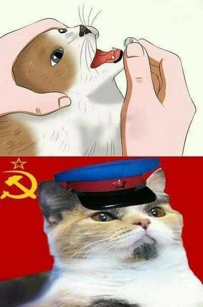 @downudder