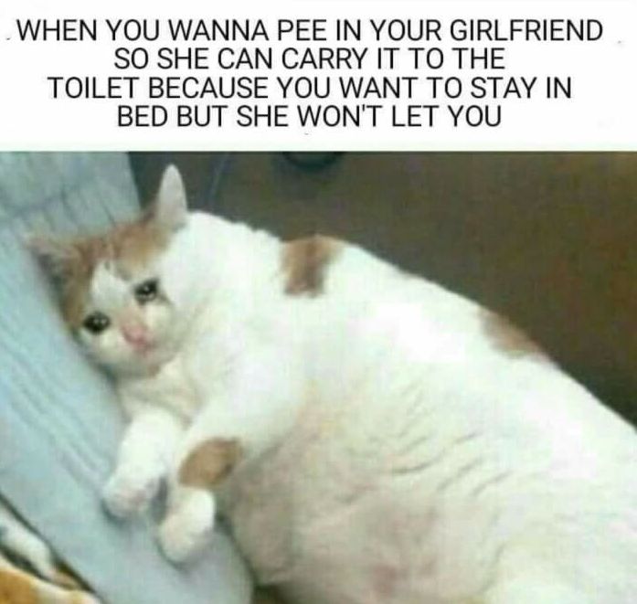 Why must everyhurt me