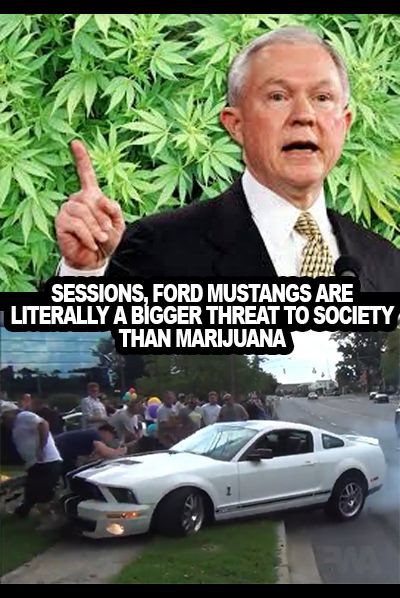 Ford Mustangs have killed way more people than pot ever will. These are facts!