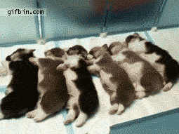 Waking up at the same time