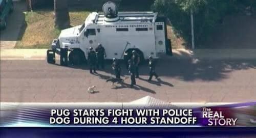 the revolution is nigh