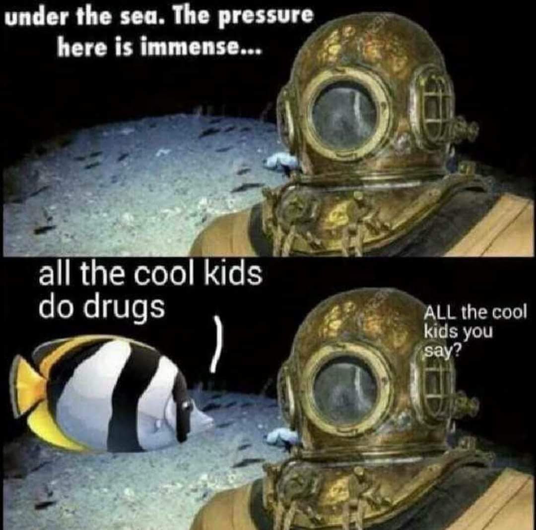 D A N K