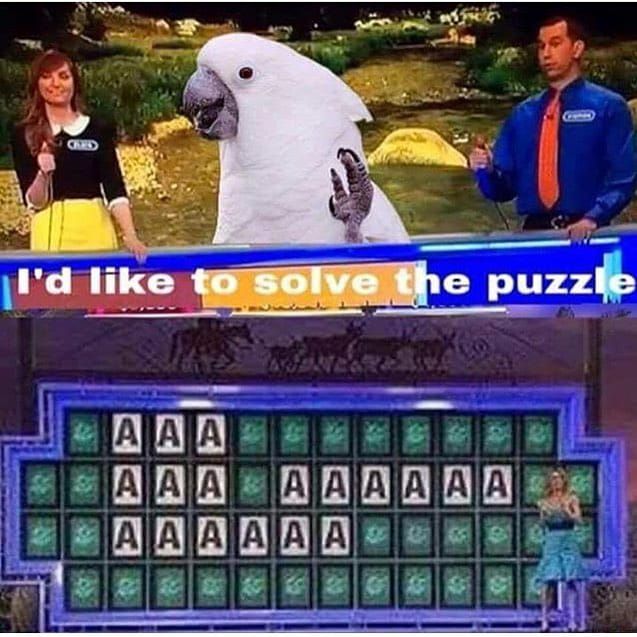 AAAAAAAAAAAAAAAAAAA