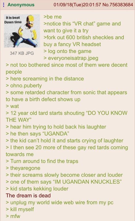 Anon tries VR