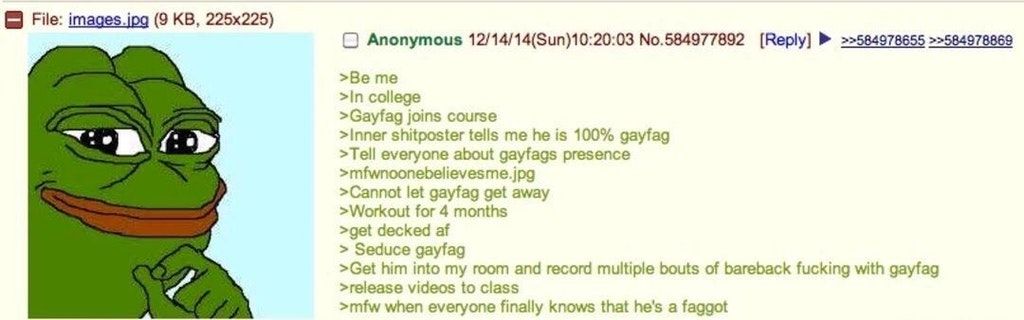 Brave anon exposes ghey