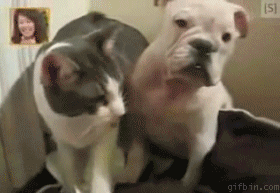 Bring it on pussy