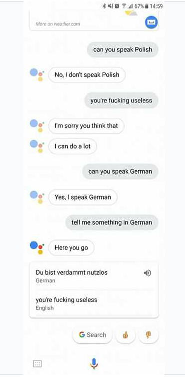 Roasted by Google Assistant