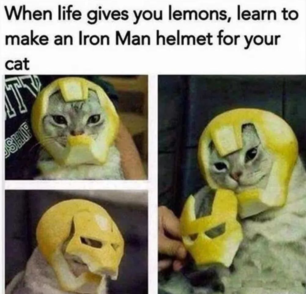 When life gives you lemons,