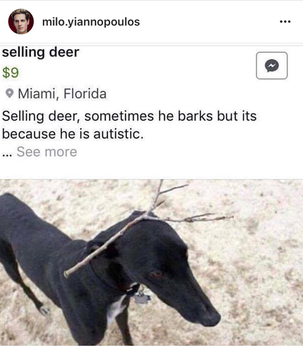 I want an autistic deer