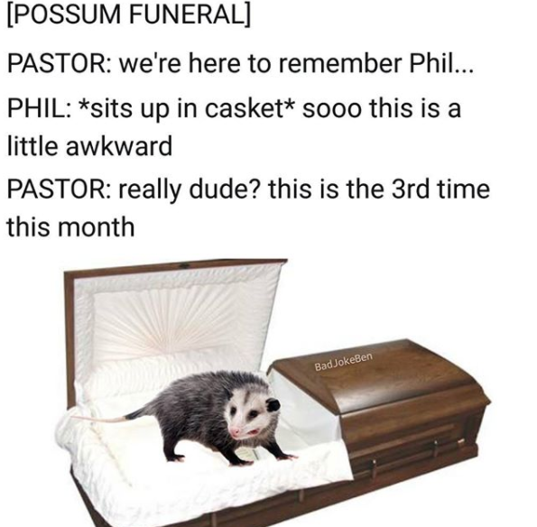 gawd dammit