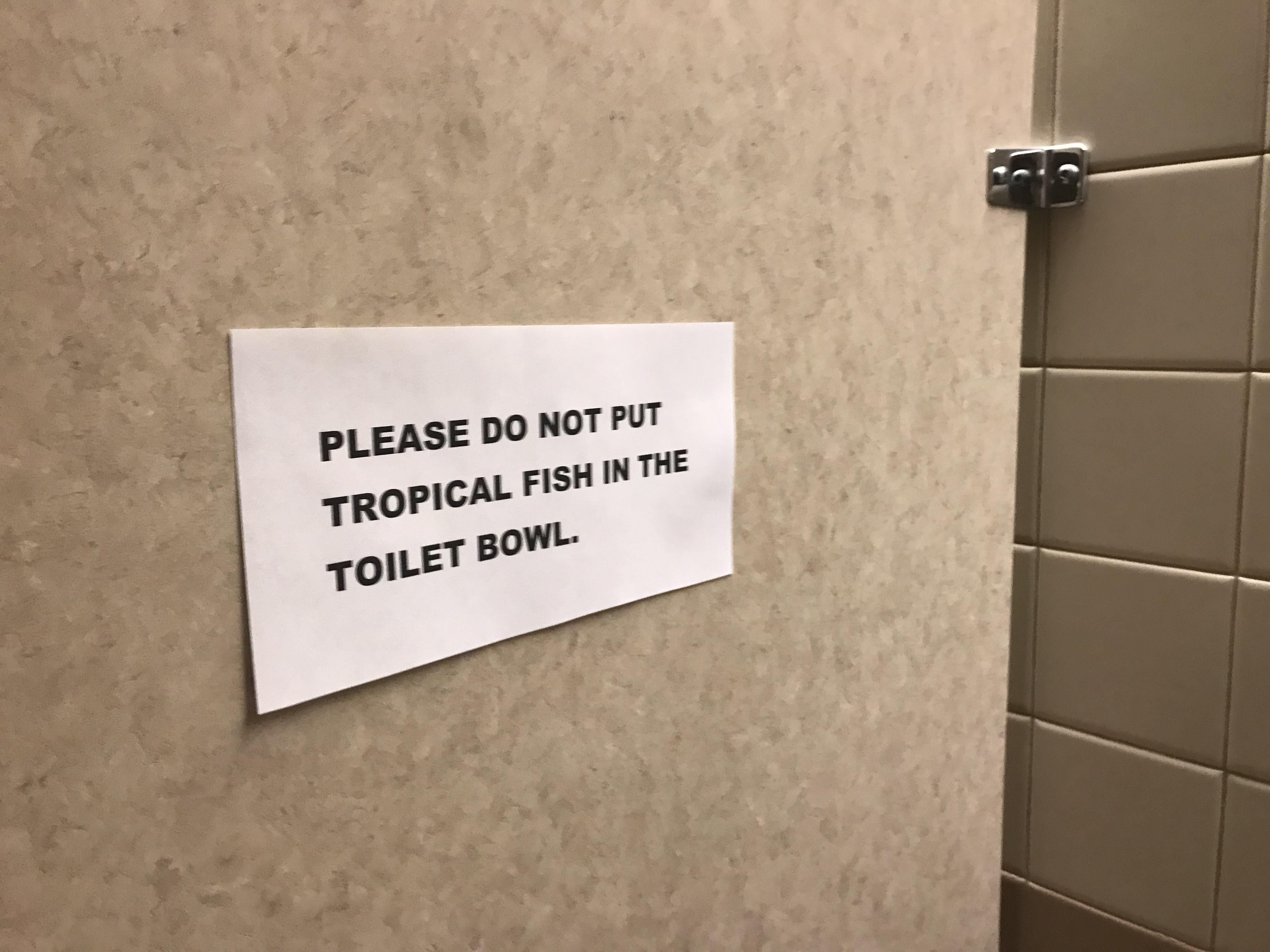 There must be a great reason this sign showed up in my workplace bathroom.