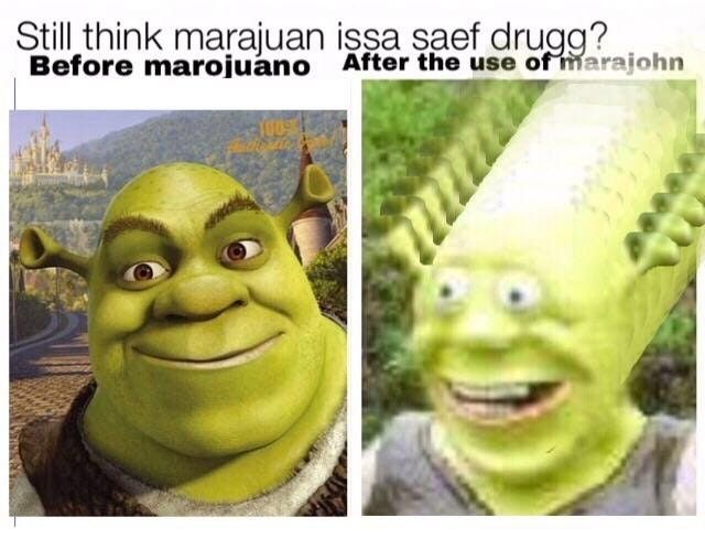 facts