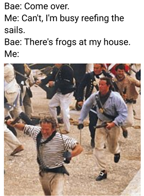 Damned frogs
