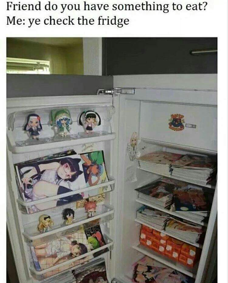 my fridge