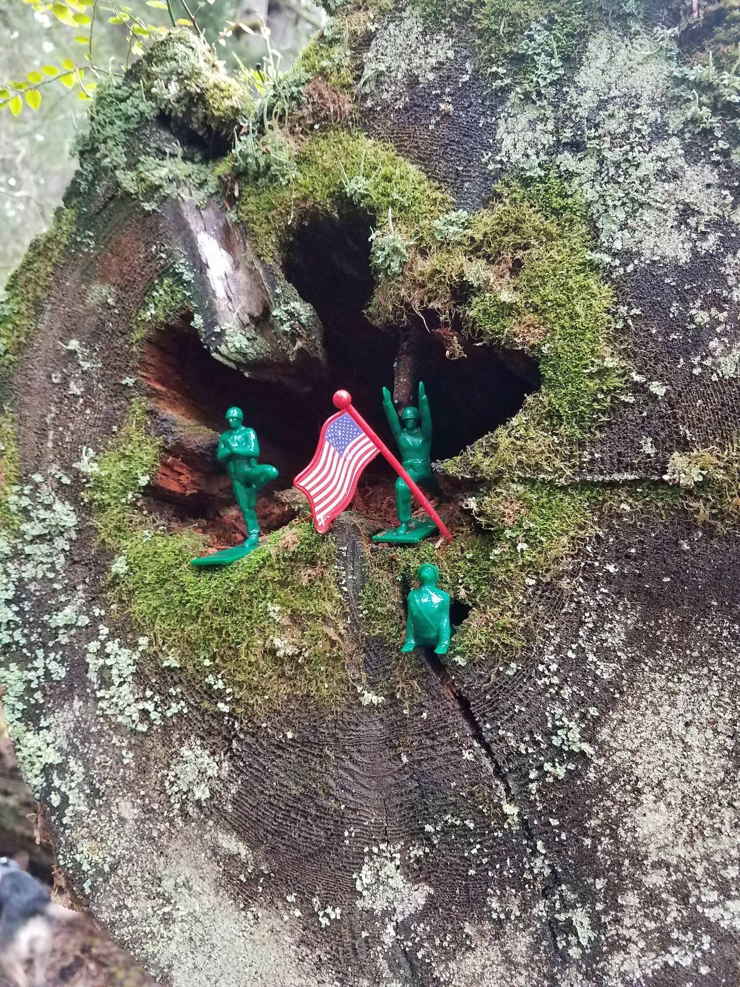 I found green army men doing Yoga in the middle of the woods while hiking.