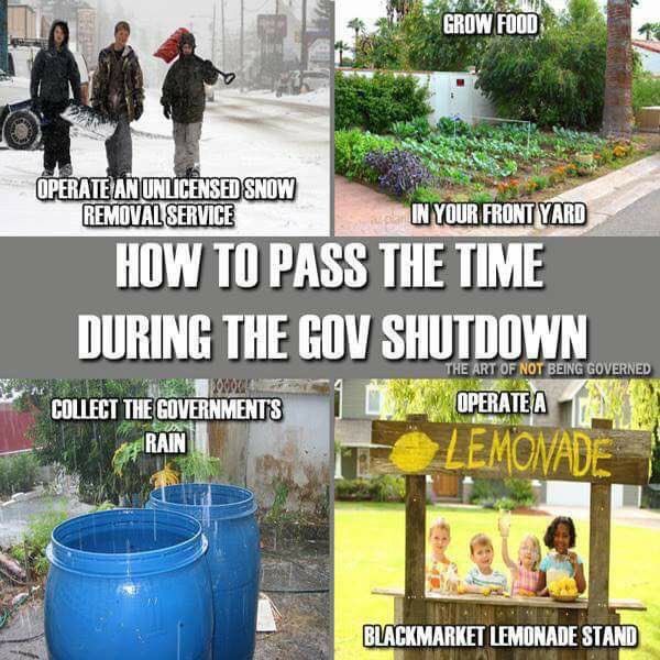 How to pass the time during the gov shutdown
