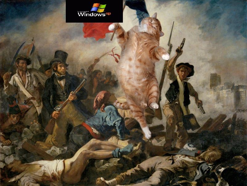 French and a cat joins the riot.