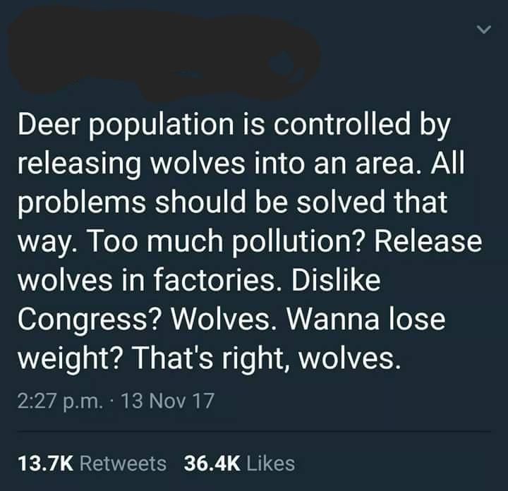 Wolves solves everything
