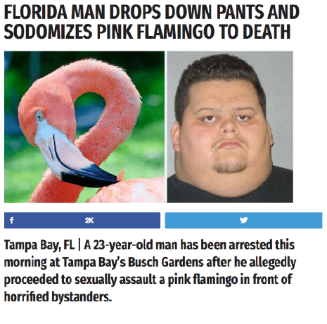flamingone