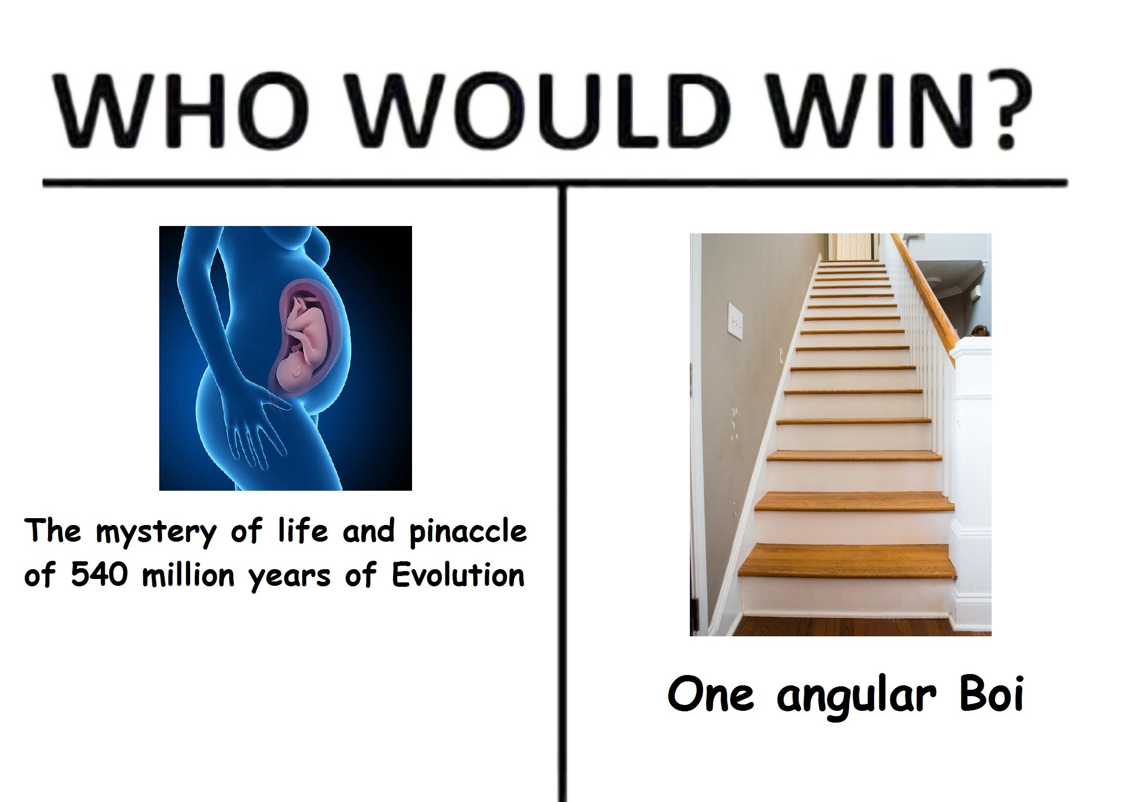 Can you feel the edge? He sure does ( ͡° ͜ʖ ͡°)