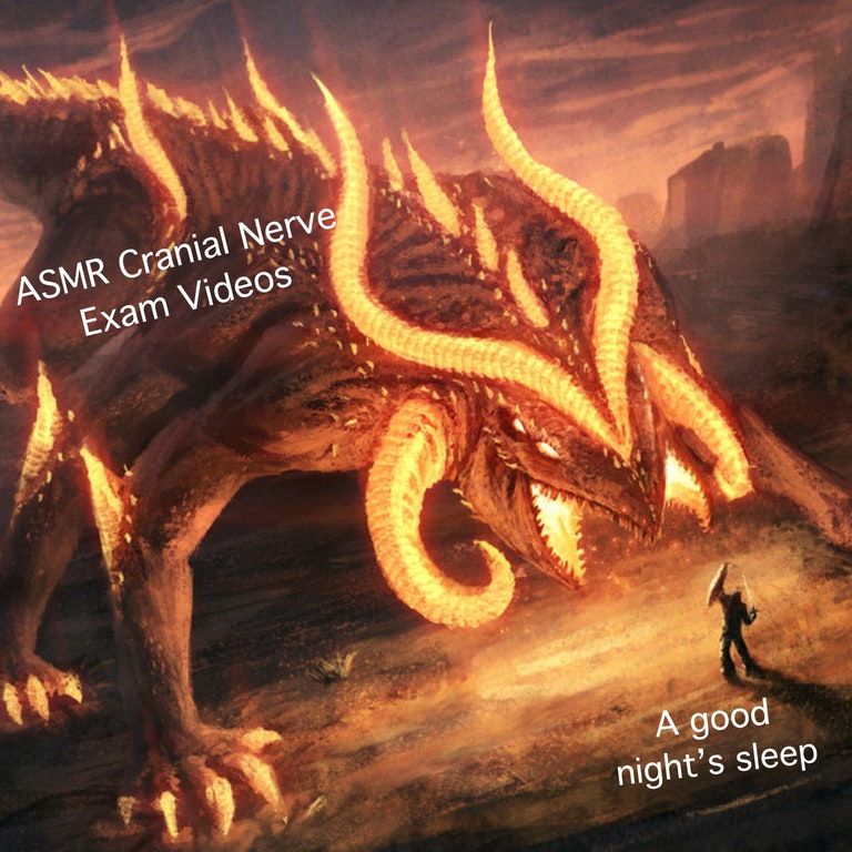 im actually starting to like this meme alot