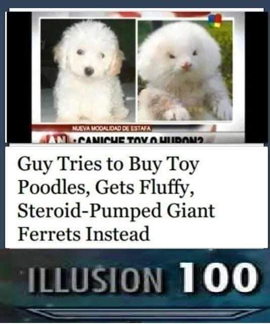 Hate when that happens