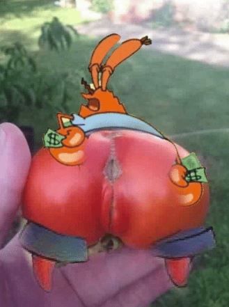 ARE YOU FEELING IT NOW MR KRABS
