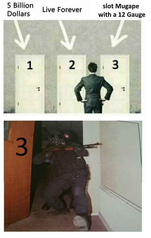 Bye Bye Mugabe