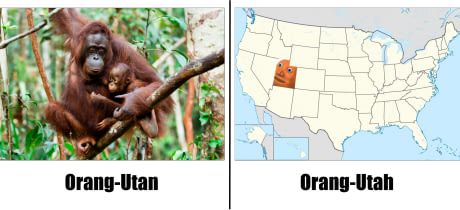 o r a n k