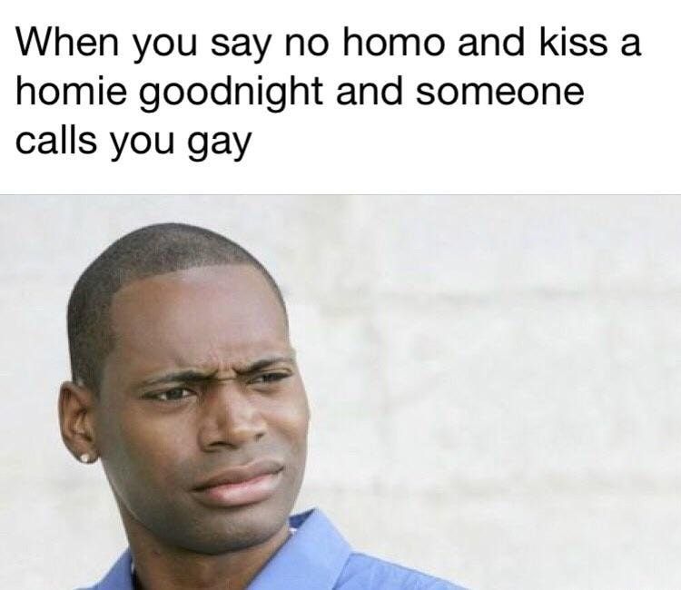 I said no homo dawg