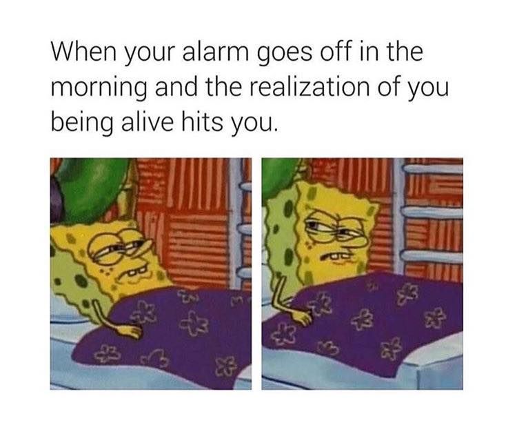 everymornin