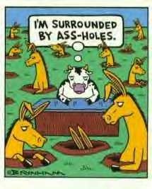 I'm surronded by a**holes