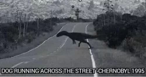yes