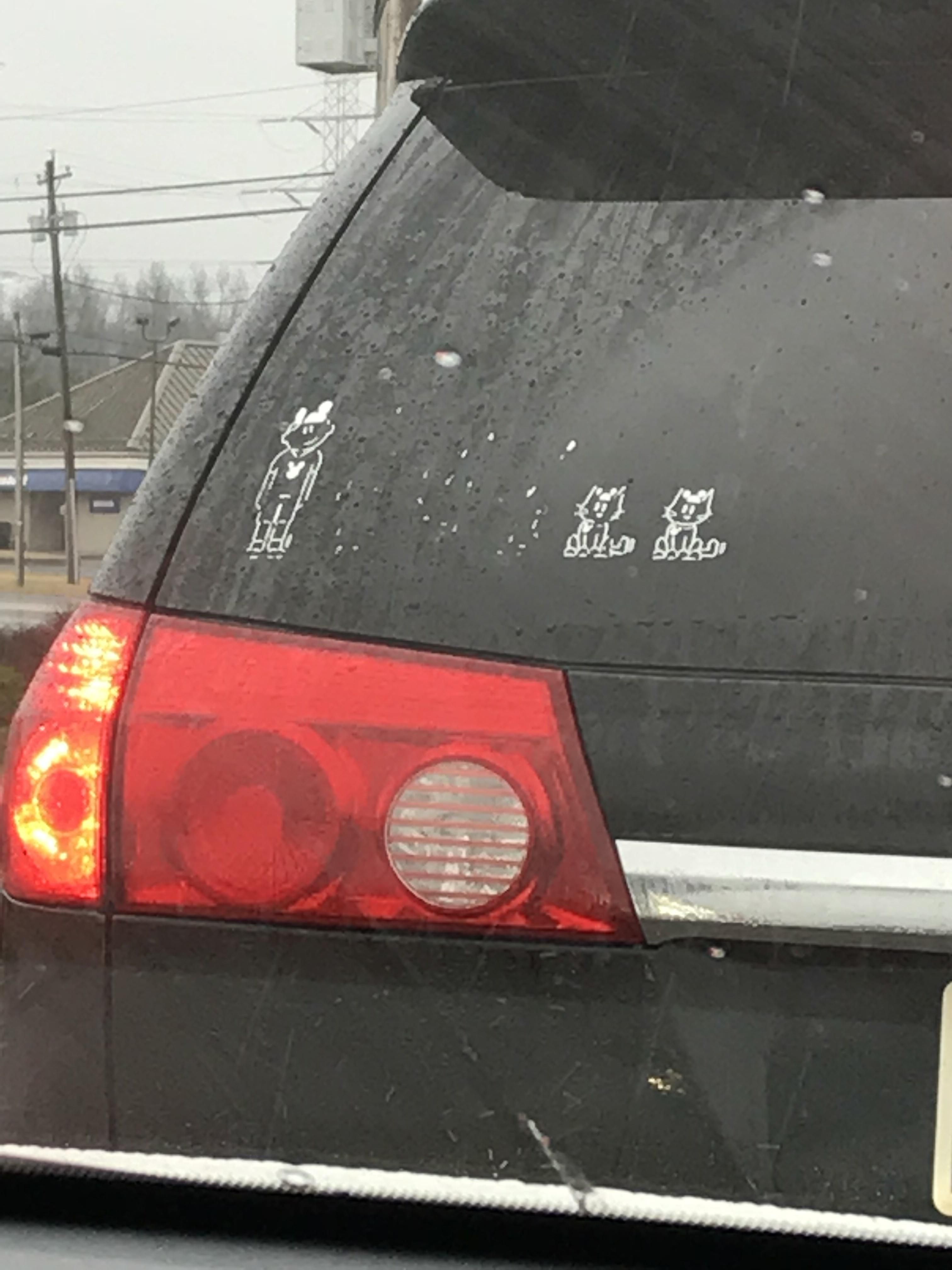 Divorced. Just a man, his van and his cats.